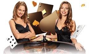 667bet